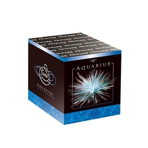 Водолей Водолей