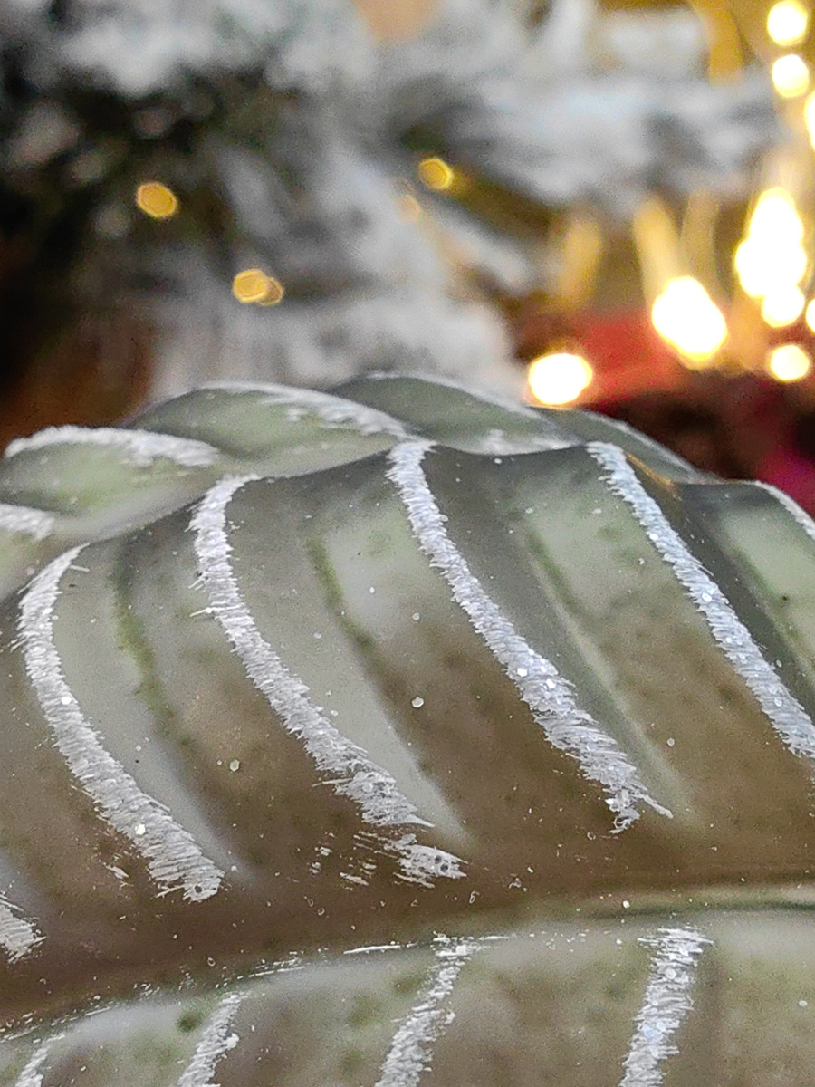 Шар зеленый чай 10 см, стекло Merry Green MG24165 фото 4 Шар зеленый чай 10 см, стекло Merry Green MG24165 фото 4