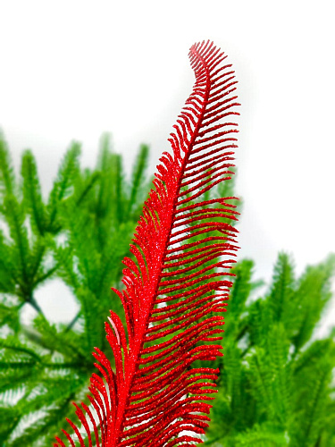 Перо красный см fz-10081R Перо красный см fz-10081R