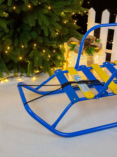 Санки детские Ветерок 1 голубой 4413773/В1/Г2 фото 2 Санки детские Ветерок 1 голубой 4413773/В1/Г2 фото 2