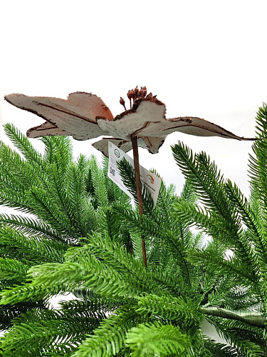 													Цветок шоколад d 26 см 99222601chocolate фото 3