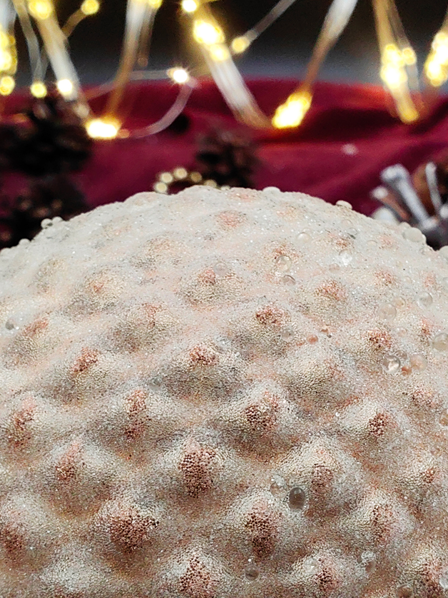 Шар сатин шапмань 10 см, стекло Merry Green MG24177 фото 4 Шар сатин шапмань 10 см, стекло Merry Green MG24177 фото 4