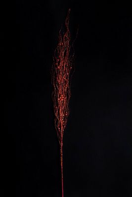 Ветка красная  см  9817558R