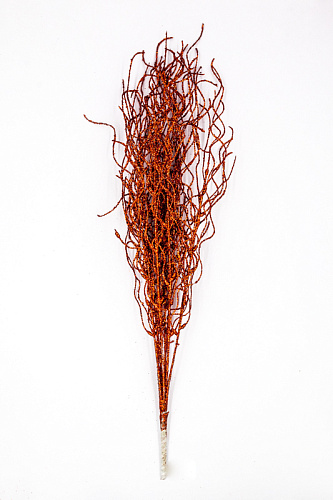 Ветка красная см 9817559R Ветка красная см 9817559R