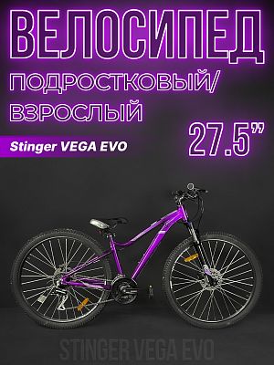 Велосипед горный Stinger VEGA EVO 27.5" 15" фиолетовый 27AHD.VEGAEVO.15VT1 2021