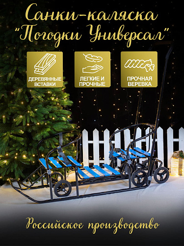 													Санки-коляска детские Погодки Универсал 1 черно-голубой 7361590
