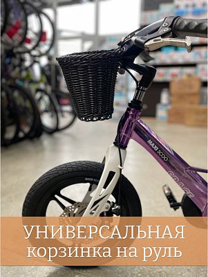 Велокорзина передняя China W123 20х15х16 см черный MYBB01black Велокорзина передняя China W123 20х15х16 см черный MYBB01black