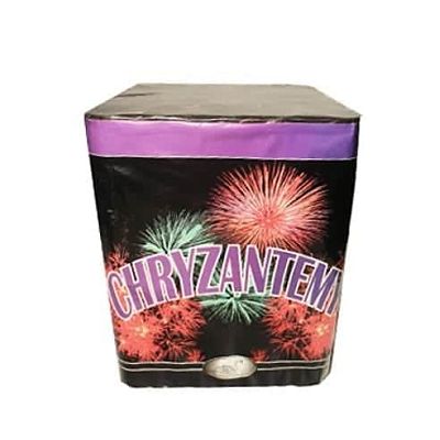 Хризантема