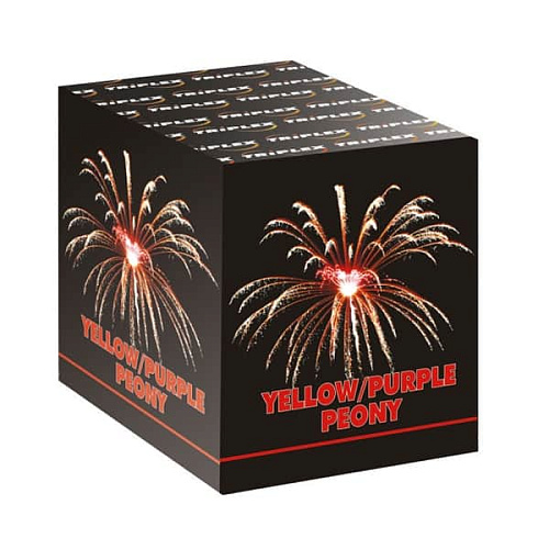 													Желто-пурпурные пионы