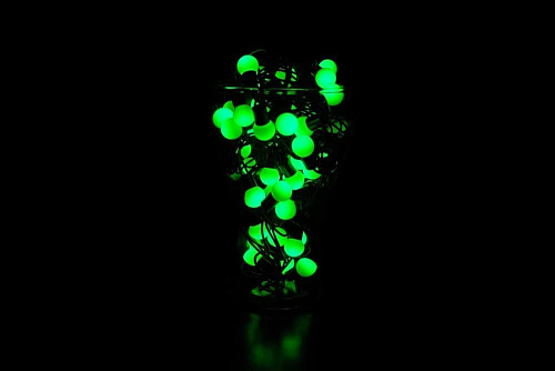 													 5 м м, зеленый 50 LED, , провод , 2013716
