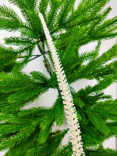 Ветка белая см 9817567 фото 2 Ветка белая см 9817567 фото 2