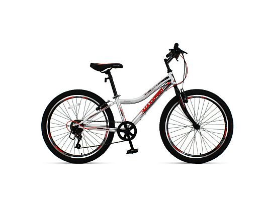 Велосипед горный MAXXPRO STEELY 24 LITE 24" 12" 6 ск. серо-красный N2400-2 2021