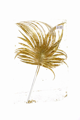 Ветка золото см 2013957 фото 2 Ветка золото см 2013957 фото 2