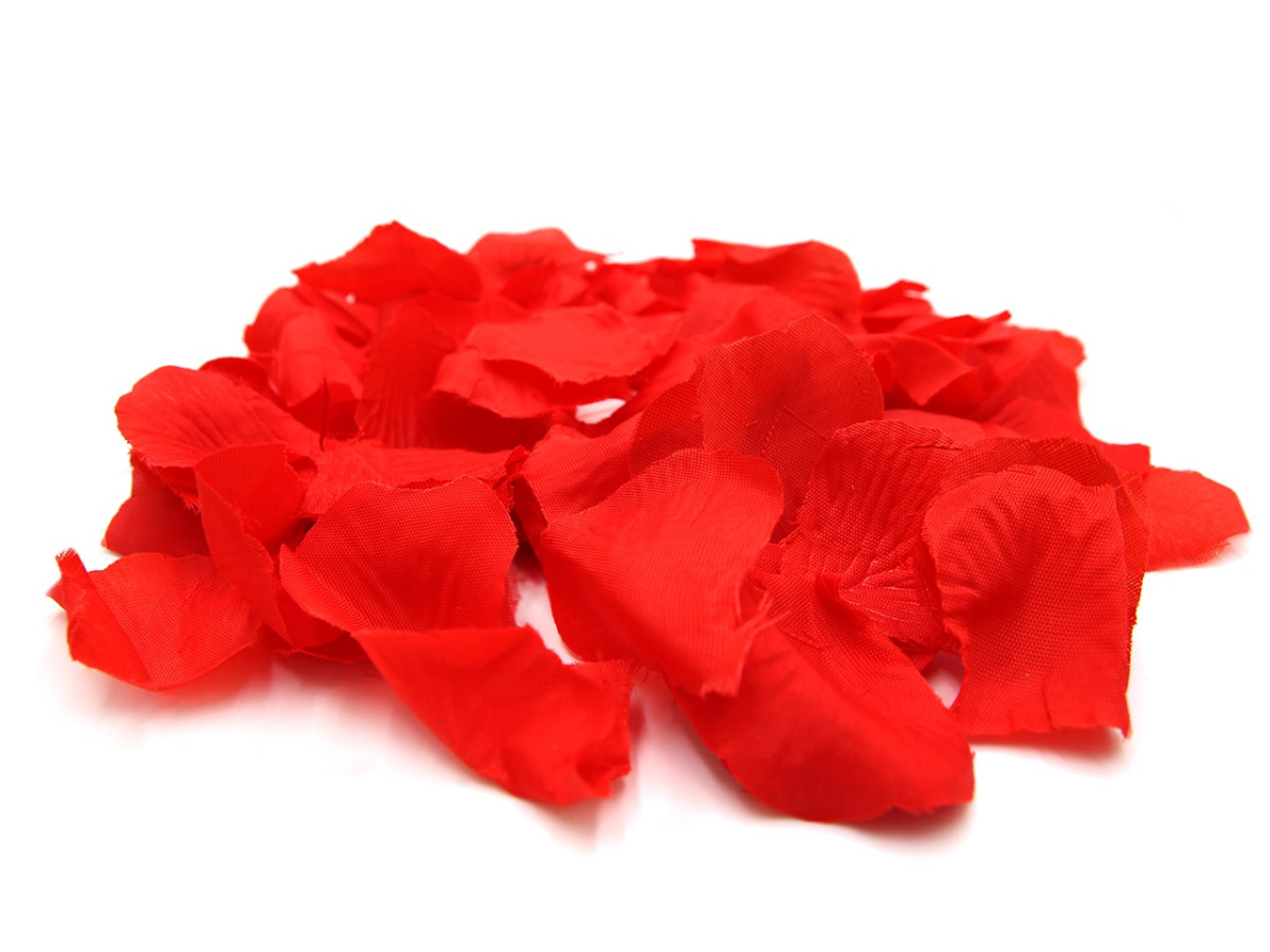 Пневмохлопушка 60 МХ4-60 фото 5 Пневмохлопушка 60 МХ4-60 фото 5