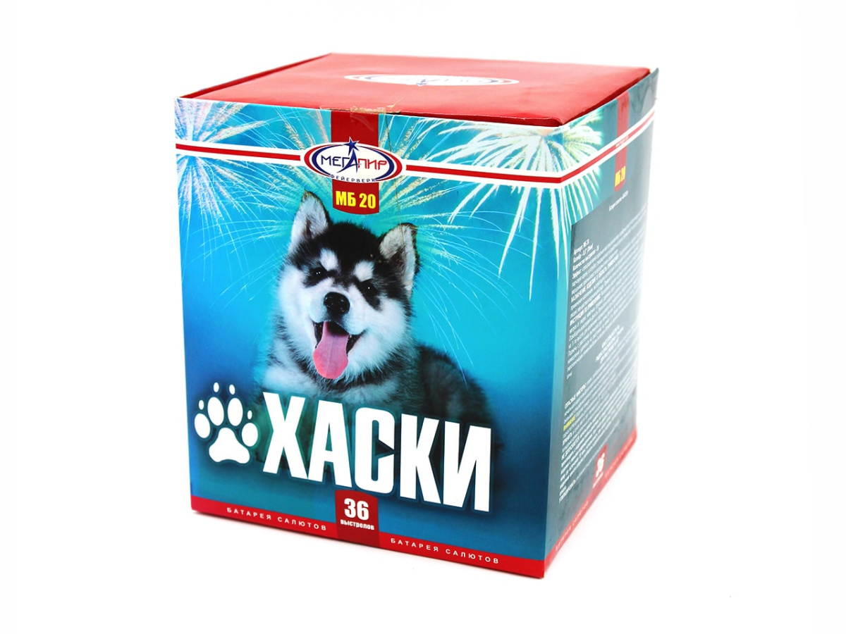 Хаски фото 2 Хаски фото 2