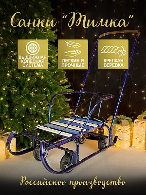 Санки с ручкой детские Тимка 6 универсал синий лак 5863563/Т6У/C2 Санки с ручкой детские Тимка 6 универсал синий лак 5863563/Т6У/C2