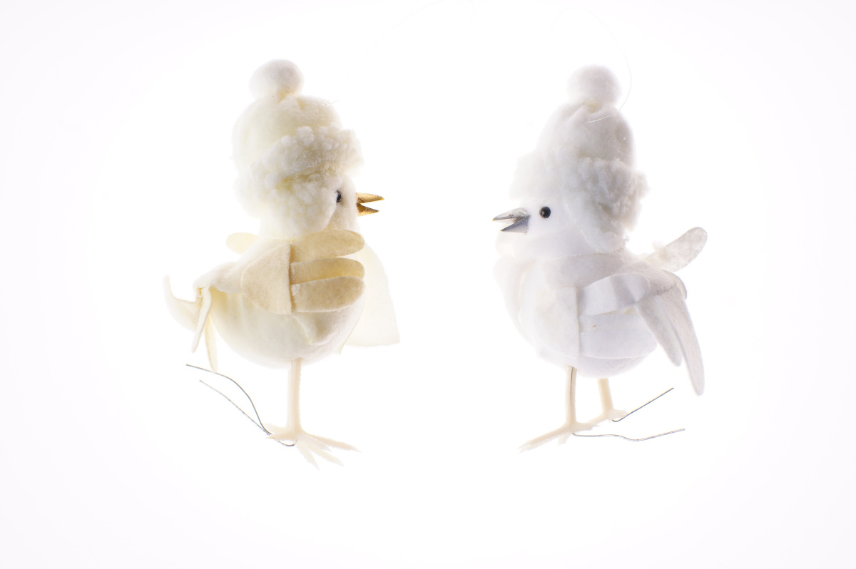 Птица см белый 1 201114 фото 2 Птица см белый 1 201114 фото 2