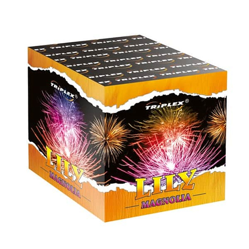 Лили магнолия Лили магнолия