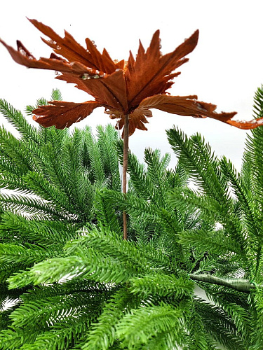 													Цветок шоколад d 31 см 99223103chocolate фото 4