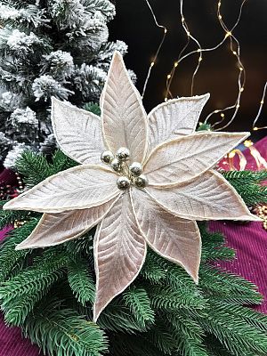 Цветок шампань d 22 см Flo-12-38champane