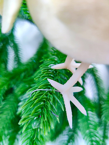 Птица см желтая 1 201114Y фото 3 Птица см желтая 1 201114Y фото 3