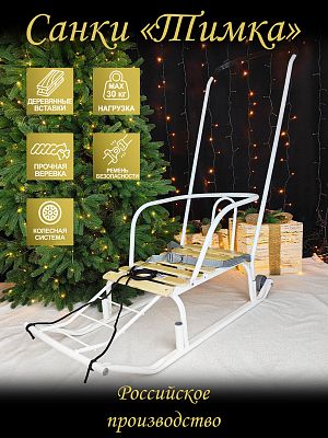 Санки с ручкой детские Тимка 5 комфорт белый 9234893/Т5К/Б Санки с ручкой детские Тимка 5 комфорт белый 9234893/Т5К/Б