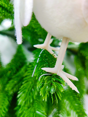 Птица см белый 1 201114 фото 3 Птица см белый 1 201114 фото 3