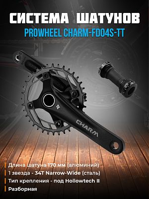 Система шатунов PROWHEEL CHARM-FD04S-TT без защиты, под Hollowtech II (каретка в комплекте), 1 звезд